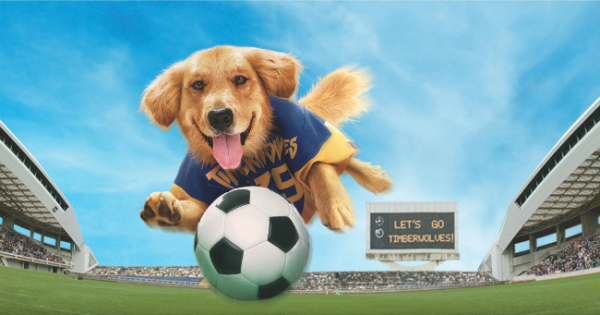 air bud soccer dog movie film flick