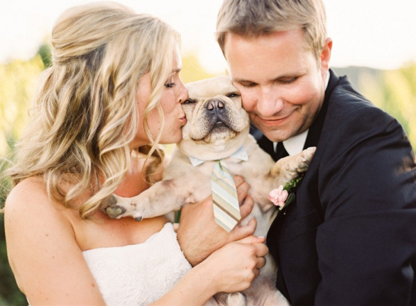 bulldog couple