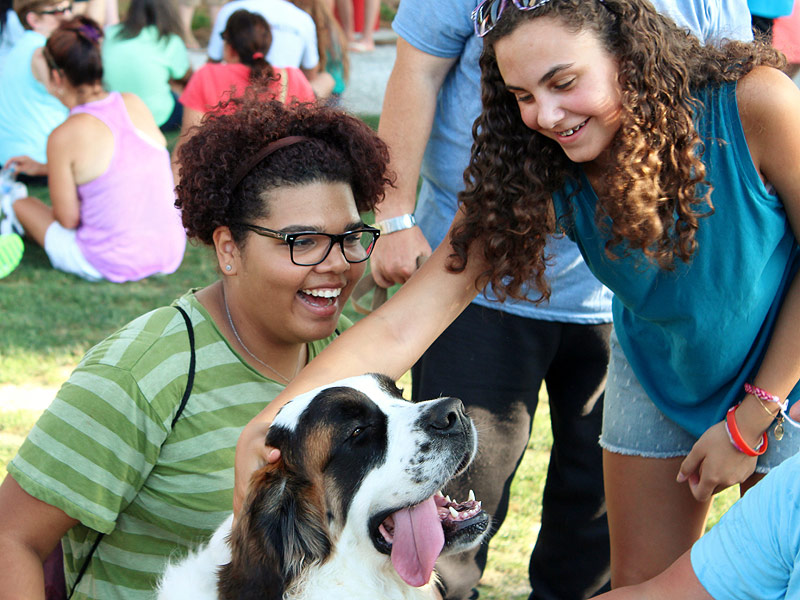 charleston-therapy-dogs-01-800