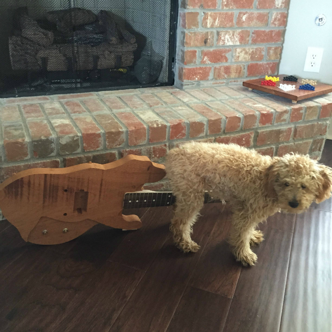 dog-and-dog-guitar7dcgAPm