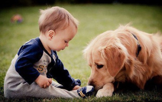 dog-and-kid