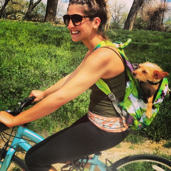 dog-backpack-bike