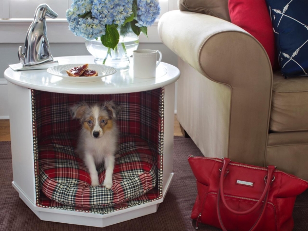 dog bed end table