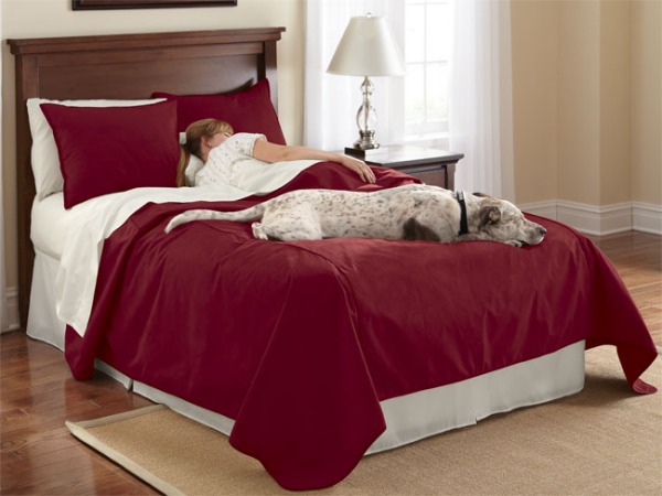 dog proof bedding