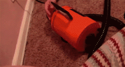 dog-vacuum-baby