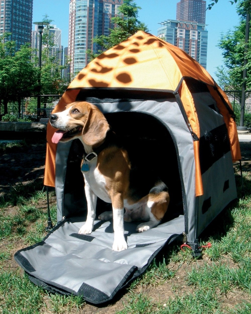 dog_tent