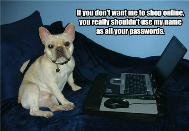 funny-dog-pictures-if-you-dont-want-me-to-shop-online-you-really-shouldnt-use-my-name-as-all-your-passwords