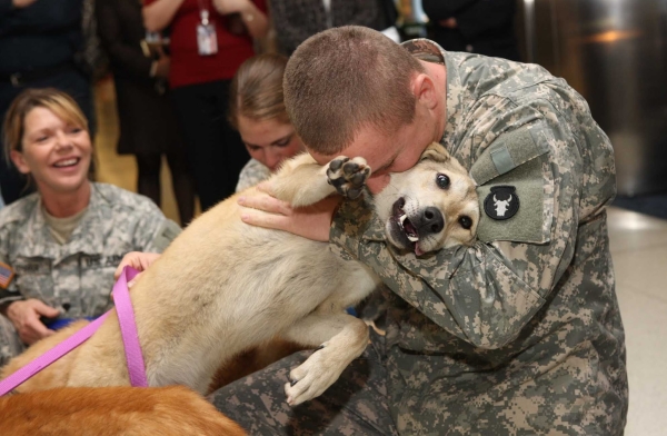Dog and soldier