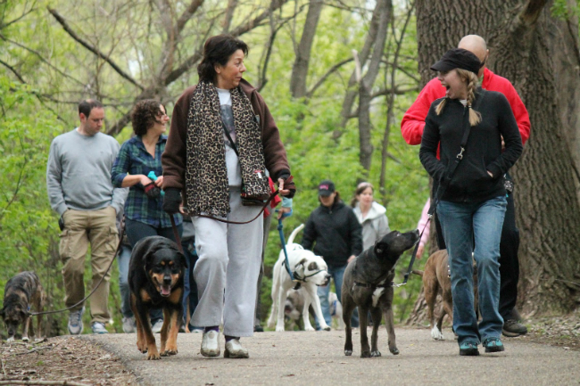 women-walking-dogs-happy-social-park