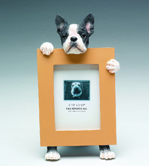 Boston-Terrier-Picture-Frame-35315-76