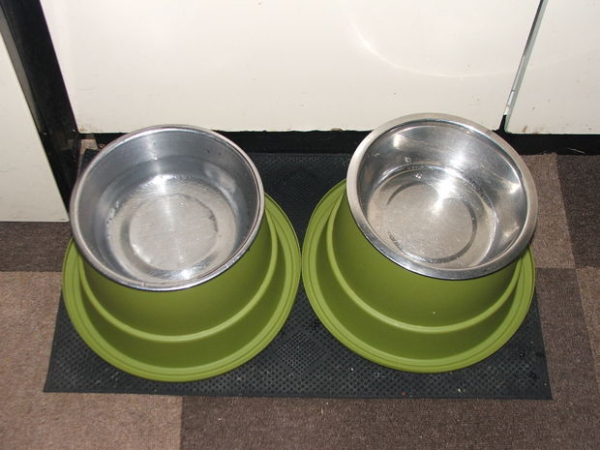 plant pot dog bowls