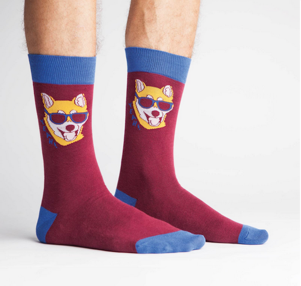 hipster dog socks