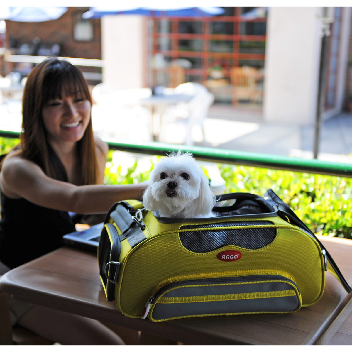 How to Find the Best Pet Carriers