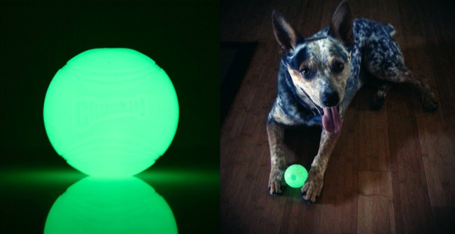 chuckit-max-glow-ball-dog-toy-xl