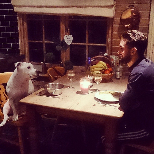 date-nite-with-dog