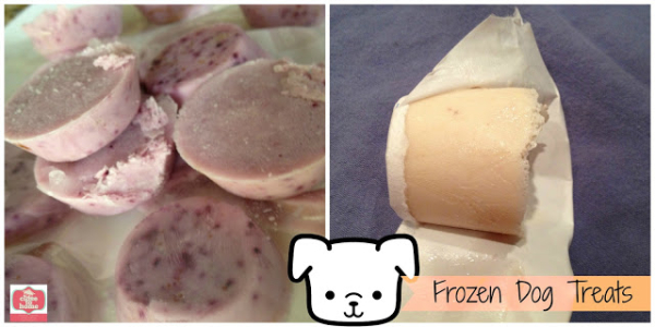 frozen dog treats
