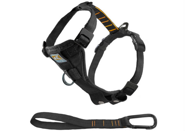kurgo harness