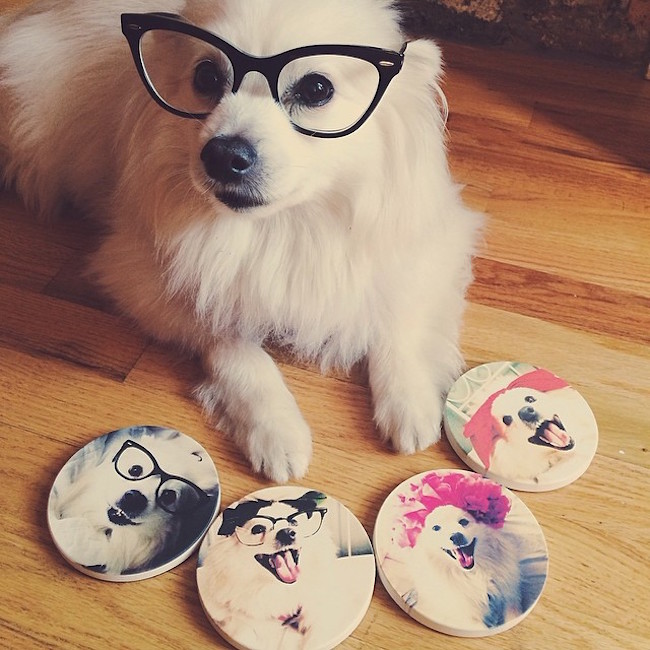 miku glasses and coasters