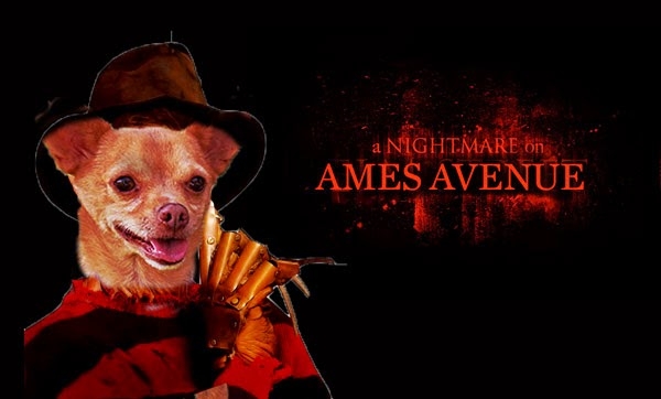 A-Nightmare-on-Elm-Street-a-nightmare-on-elm-street-944628_1024_768