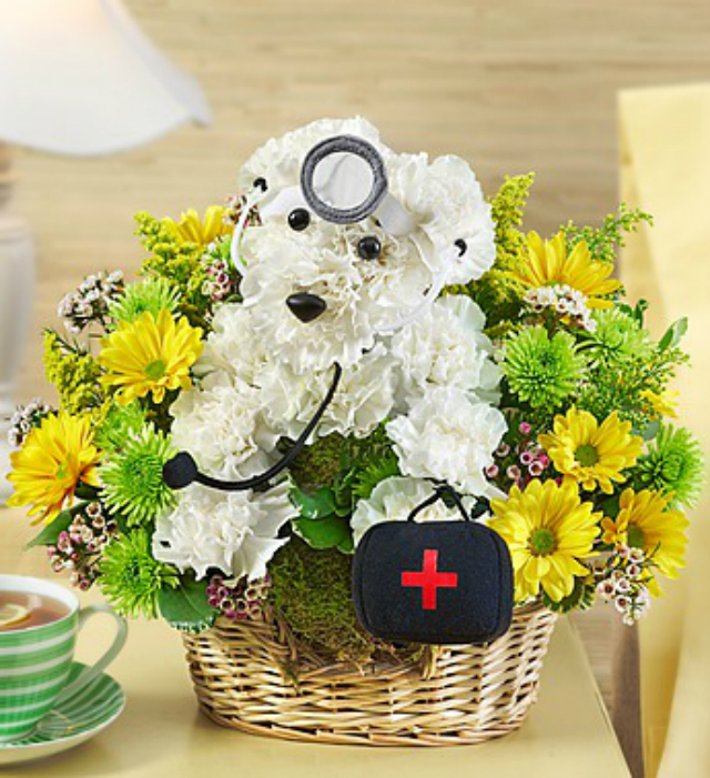 Doggie Howser Flowers