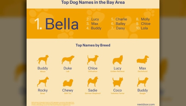dog-names-cali