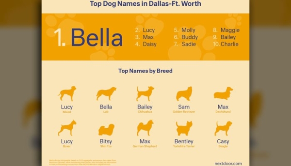 dog-names-dallas