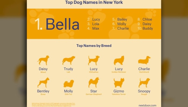 dog-names-nyc