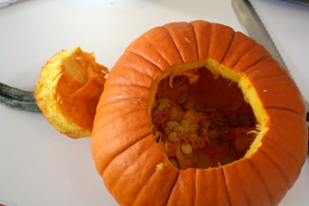 pumpkin