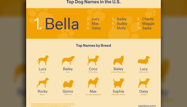top-dog-names-us