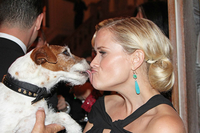 uggie-reese-witherspoon
