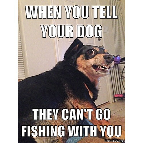when you tell your dog they cant go fishing with you