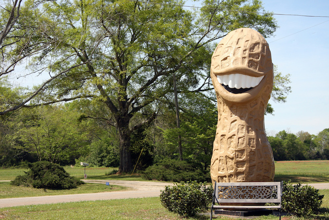 12 peanut statue