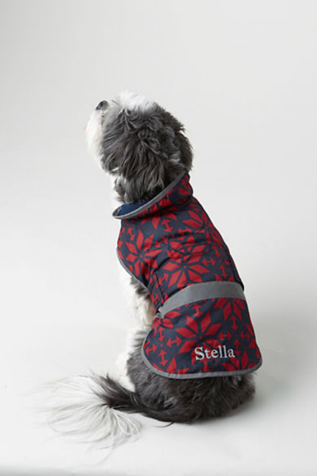 Dog Squall Jacket