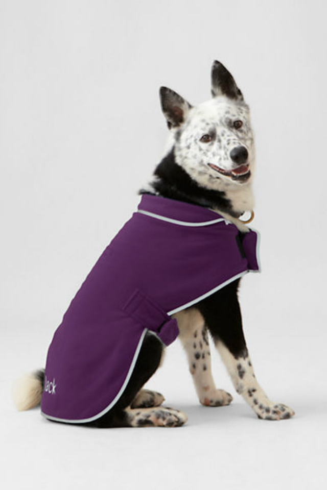 Fleece Dog Jacket