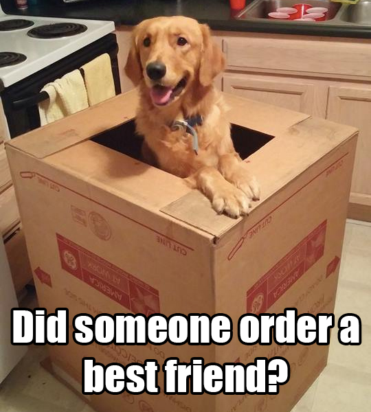 best-friend-order