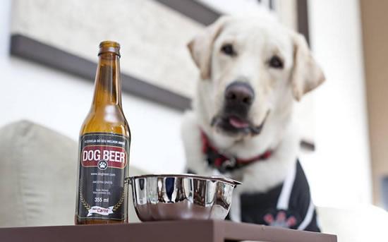 dog-beer-1