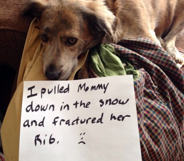 pulled mom snow
