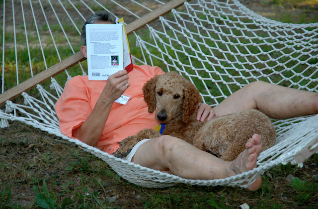 relax-at-camp-dog