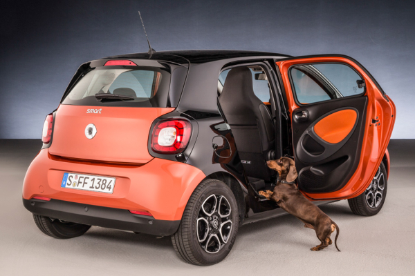 smart_forfour_readyspace_dog_3