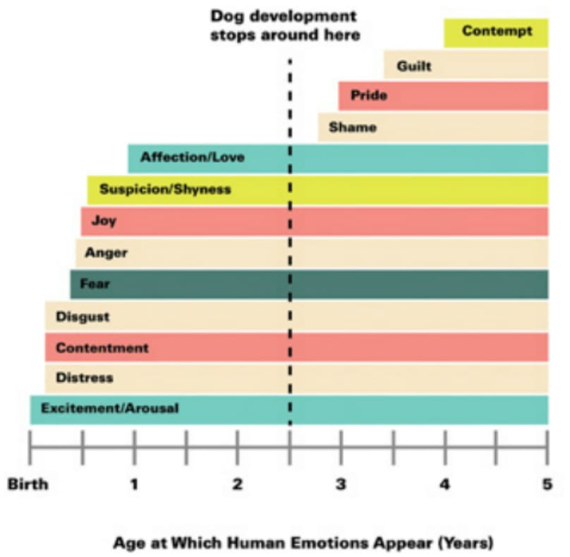 5 dog-development-chart