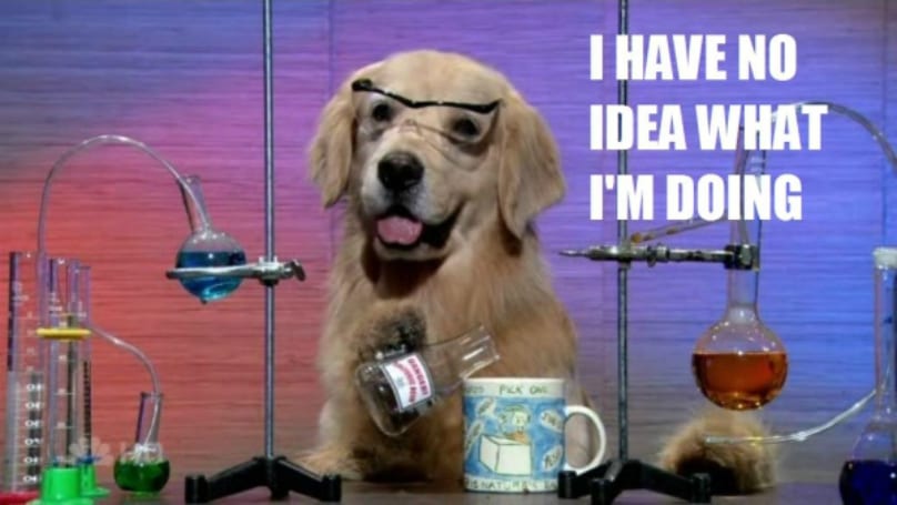 6 funny-yellow-lab-no-idea-what-600x338