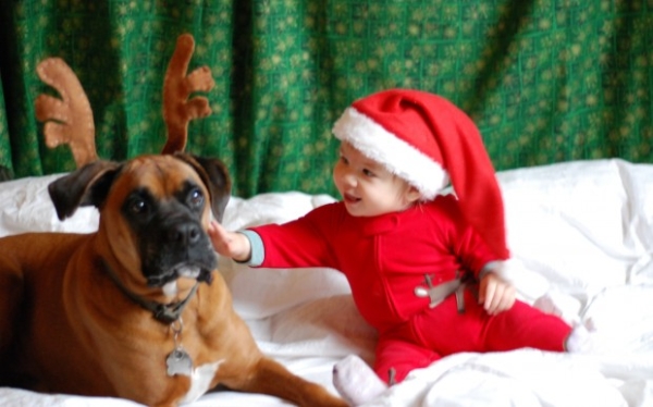 baby n dog