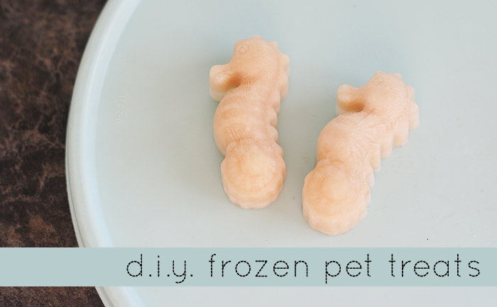 diy-frozen-pet-treats