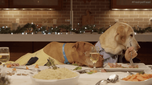 dogs-fine-dining