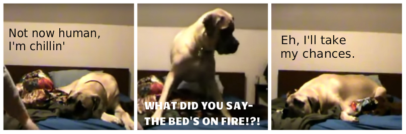 fire bed