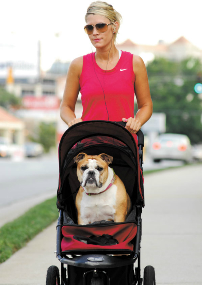 peachtree-dog-in-stroller-0691-cute