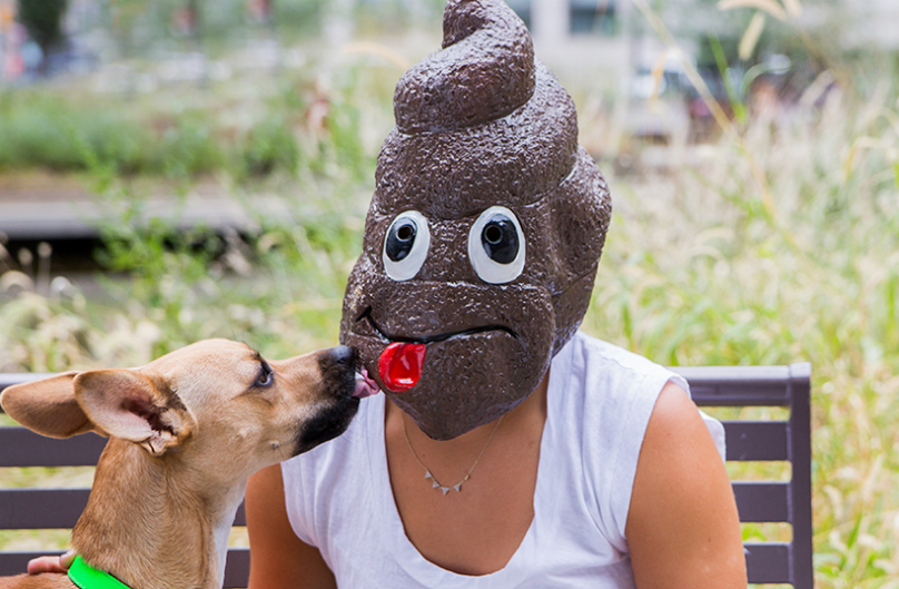 Unfortunately for your dog, this is *not* the world's biggest Halloween treat.