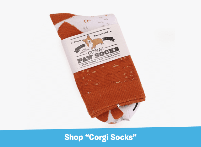 Corgi Socks