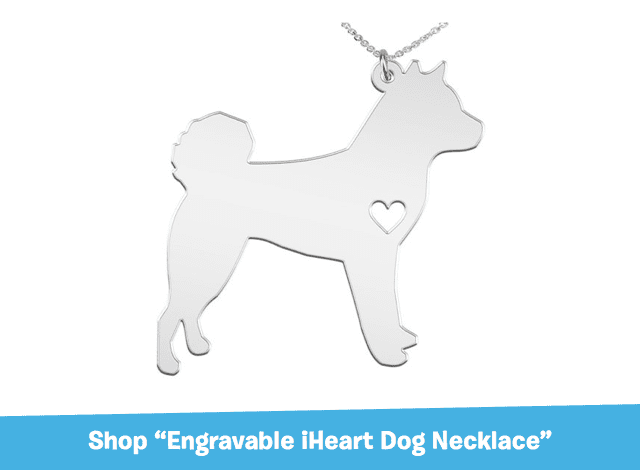 Engravable iHeart Dog Necklace