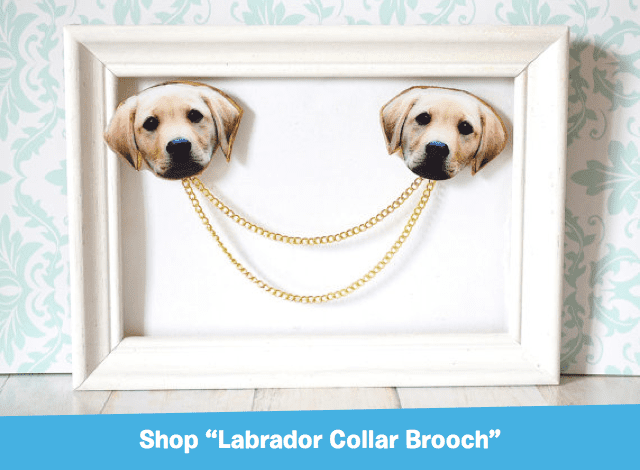 Labrador Collar Brooch